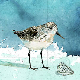 coastal sandpiper 1 by Carol Robinson