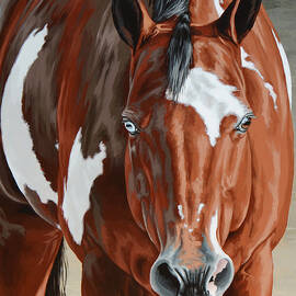 Apollo by Lesley Alexander