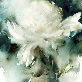 White peony by Sophia Rodionov