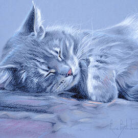 Asleep by Lucie Bilodeau
