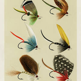 Bass Fishing Flies I from Favorite Flies and Their Histories by Mary Orvis Marbury