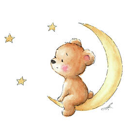 bear watching the stars  by Anna Abramskaya