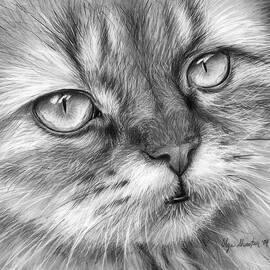 Beautiful Cat by Olga Shvartsur