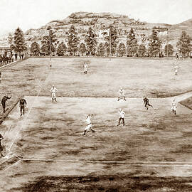 California league Baseball grounds by Vintage Sports