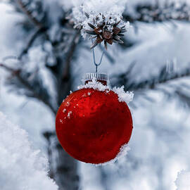christmas tree by Joana Kruse