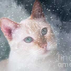 Counting Snowflakes by Elisabeth Lucas