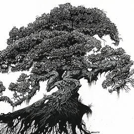 Dragon Tree by Stanley Morrison