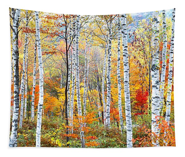 Fall Trees, Shinhodaka, Gifu, Japan Tapestry