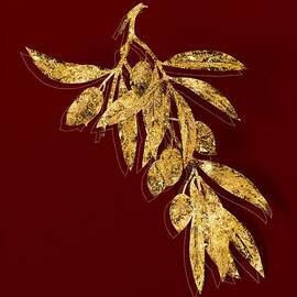 Gold Olive Tree Botanical Illustration on Red by Holy Rock Design