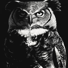 Great Horned Dragon Owl by Stanley Morrison