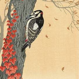 Great Spotted Woodpecker In Tree by Bill Waterson