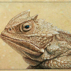 Horned Toad by James W Johnson