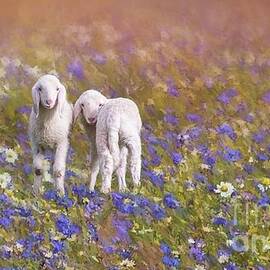 New Life by Eva Lechner