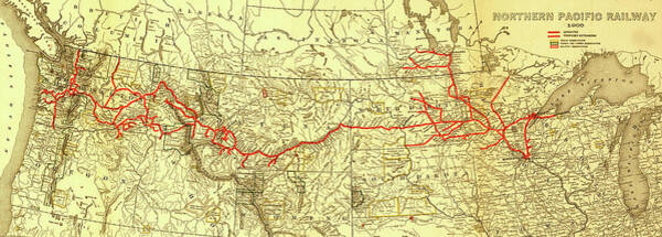 Wall Art - Drawing - Northern Pacific Transcontinental 1900 by Vintage Railroad Maps