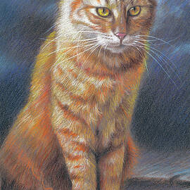 Orange Cat by Lucie Bilodeau