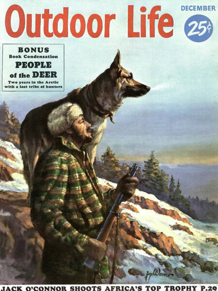 Wall Art - Drawing - Outdoor Life Magazine Cover December 1953 by Outdoor Life