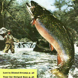 Outdoor Life Magazine Cover May 1956 by Outdoor Life