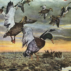 Outdoor Life Magazine Cover November 1953 by Outdoor Life