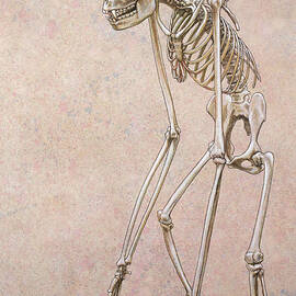 Patient by James W Johnson