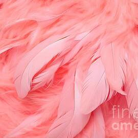 Pink feathers background by N Akkash