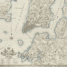 Plan of the City of New York, copied from the Ratzer Map - Decorative Blue Shading by New York Common Council