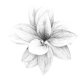 Plant by Anna Abramskaya