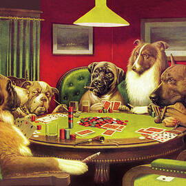 Poker Dogs A Bold Bluff, 1903 by CM Coolidge