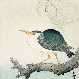 Quack On Tree Stump 1900 - 1936 by Bill Waterson