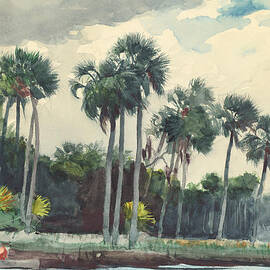 RED SHIRT HOMOSASSA FLORIDA  by Celestial Images
