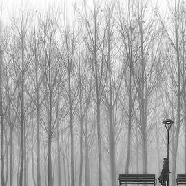 Relax by Francesco Deste