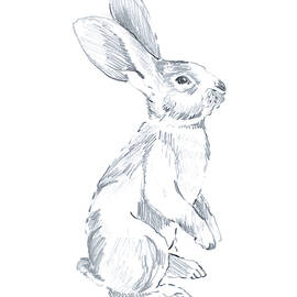 Sketched Rabbit I by Lanie Loreth
