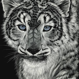 Snow Dragon Leopard by Stanley Morrison