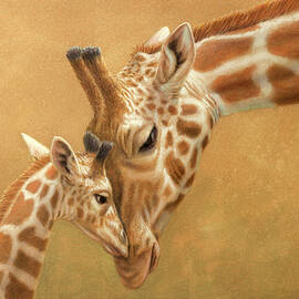 Study of a Parental Bond by James W Johnson