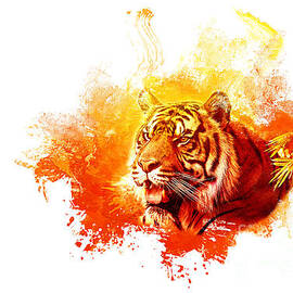 Tiger Splash by Elisabeth Lucas