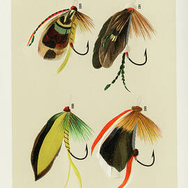 Trout and Bass Fishing Flies from Favorite Flies and Their Histories by Mary Orvis Marbury