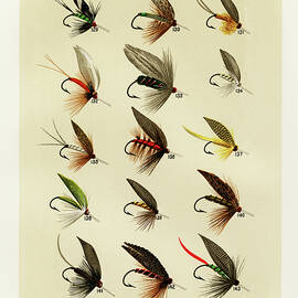 Trout Fishing Flies I from Favorite Flies and Their Histories by Mary Orvis Marbury