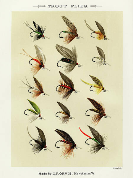 Wall Art - Drawing - Trout Fishing Flies I from Favorite Flies and Their Histories by Mary Orvis Marbury