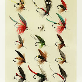 Trout Fishing Flies II from Favorite Flies and Their Histories by Mary Orvis Marbury