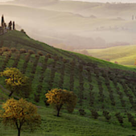 Tutte Le Strade Portano A Belvedere by Margarita Chernilova