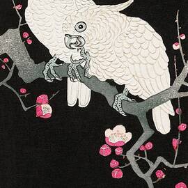 Two Cockatoo And Plum Blossom 1925 - by Bill Waterson