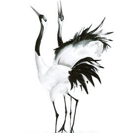 Two Cranes by Olga Tchefranov