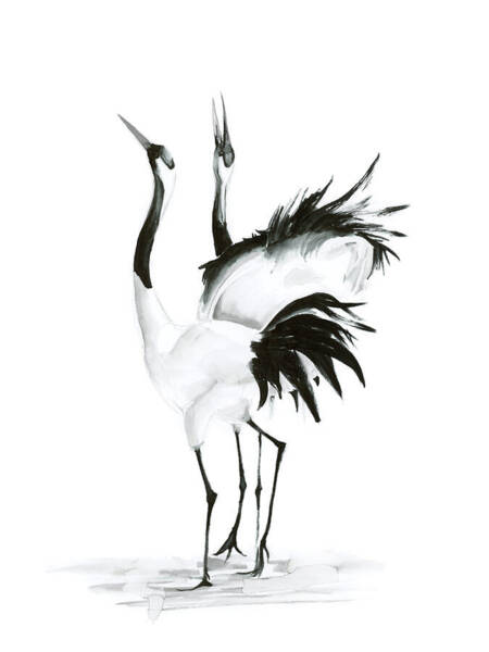 Wall Art - Drawing - Two Cranes by Olga Tchefranov