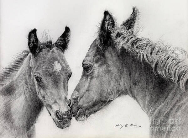 Wall Art - Drawing - Two Foals by Hailey E Herrera