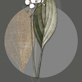 Vintage Botanical Bulltongue Arrowhead on Circle Gray on Gray by Holy Rock Design