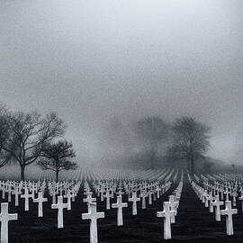Why? by Arnaud Bratkovic