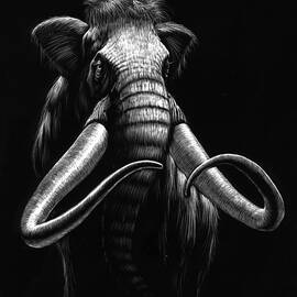 WOOLLY MAMMOTH by Stanley Morrison