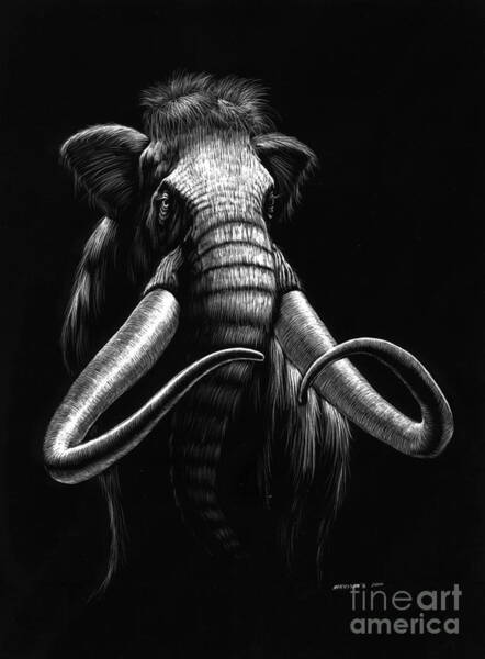 Wall Art - Drawing - Woolly Mammoth by Stanley Morrison